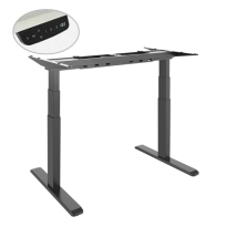 Dual Motor Electric Sit-Stand Desk (Standard)