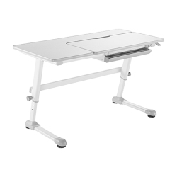 Adjustable Children Desk with Drawer (1200x600 mm/47.2"x23.6", Right Up)