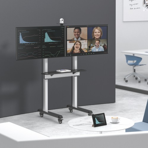 Dual Screen Video Conferencing TV Cart TTD09-46FW For 45"-55" Displays from china(chinese)