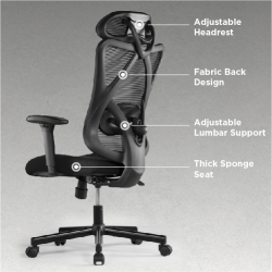 Lumbacker Ergonomic Office Chair