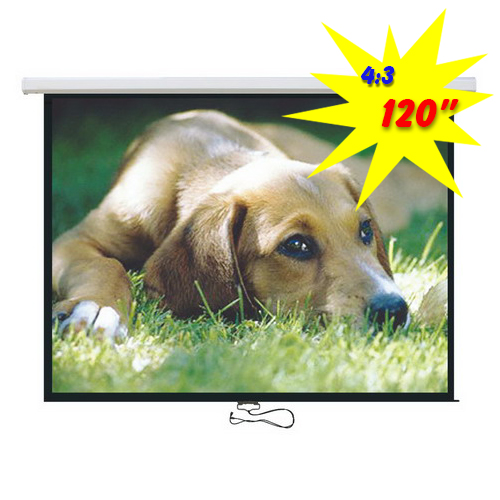 Standard Auto-lock Manual Projector Screen 100