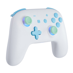 White Gaming Controllers Compatible with Switch