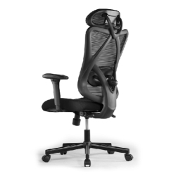 Lumbacker Ergonomic Office Chair