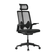 SpineX Ergonomic Office Chair Supplier and Manufacturer- LUMI