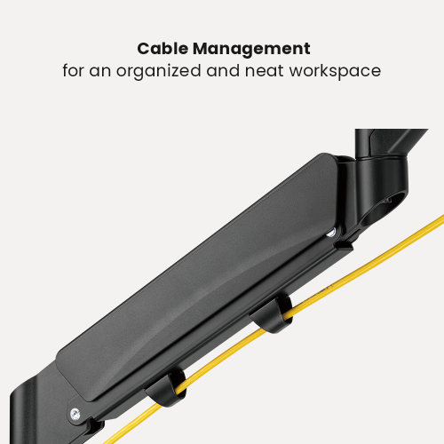 Dual Monitors Space-Saving  Spring-Assisted Monitor Arm LDT56-C024  from china(chinese)