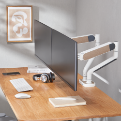Flagship Spring-Assisted Dual Monitor Arm with USB-A/USB-C Ports