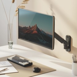 Basic Wall Mounted Spring-Assisted Monitor Arm