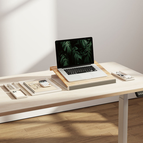 2-in-1 Desktop Storage Box DEO03-1 · Desktop Organizer · Laptop Stand from china(chinese)