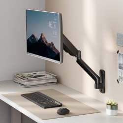 Cost-Effective Spring-Assisted Monitor Wall Mount