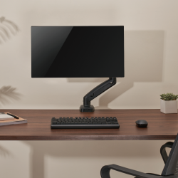 Economy Single Screen Spring-Assisted Monitor Arm