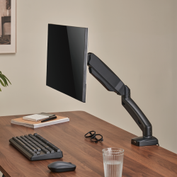 Economy Single Screen Spring-Assisted Monitor Arm with Smart Base