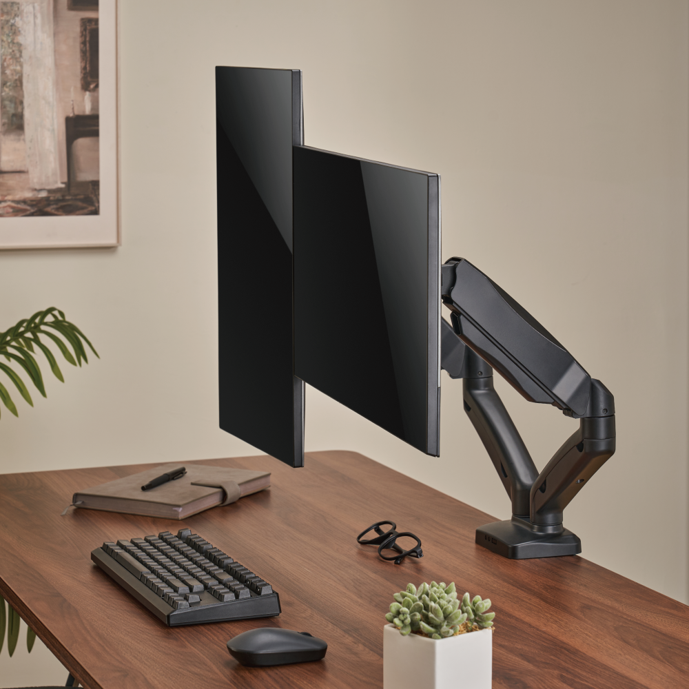 Economy Dual-Screen Spring-Assisted Monitor Arm Supplier and Manufacturer-  LUMI