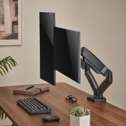 Economy Dual-Screen Spring-Assisted Monitor Arm