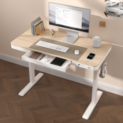 Single Motor Sit-Stand Desk with Drawer & Memory Control