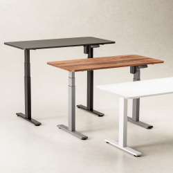 Cost-Effective Single-Motor Sit-Stand Desk (Standard)