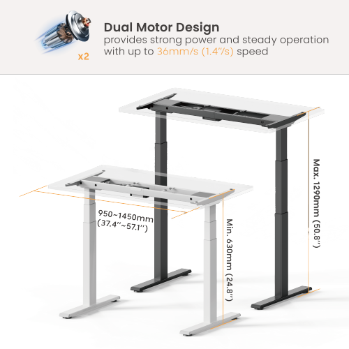 Basic 3Stage DualMotor SitStand Desks (Standard) Supplier and