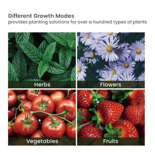 Vigor Smart Indoor Gardening System (Advanced Control Panel) HGS05-2CD  from china(chinese)