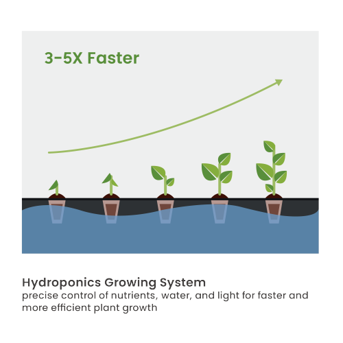 Indoor Gardening System with Advanced Control Panel HGS01-2CD Grow 12 Plants at Once from china(chinese)