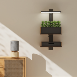 Wall Mount with Shelf