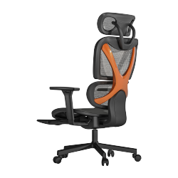 SpineX Ergonomic Office Chair