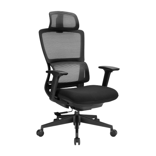 Ergonomic Office Chair with Adjustable Headrest/Seat Depth & 3D Armrests CH10-3  from china(chinese)