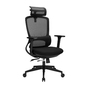 Ergonomic Office Chair with Adjustable Headrest/Seat Depth & 3D Armrests