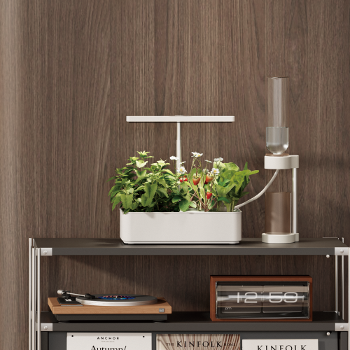 Universal Desktop Auto-Watering Systems AWS01-1C Compatible with most round-hole indoor gardening systems (33- 34mm hole size) on the market from china(chinese)