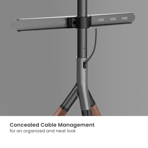 Tripod Stylish Easel Studio TV Floor Stand FS30-44F-01 Combines simplicity with elegance from china(chinese)