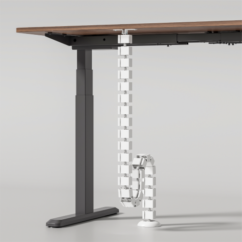 Cost-Effective Screw-Mounted Cable Management Spine CC10-16 Secure and steadfast—screw mount for reliable installation from china(chinese)