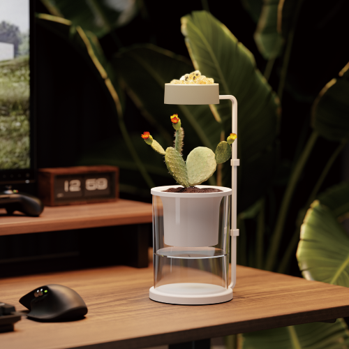 Aromatherapy Compatible Mini Indoor Gardening System HGS04-3CB  from china(chinese)