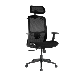 Ergonomic Mesh Office Chair with Headrest