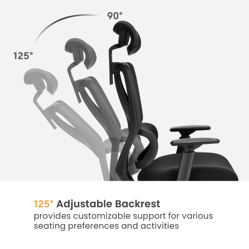 Ergonomic Office Chair with Adjustable Headrest CH10-2  from china(chinese)