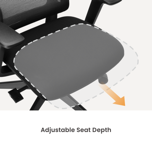 Ergonomic Office Chair with Adjustable Headrest/Seat Depth & 3D Armrests CH10-3  from china(chinese)
