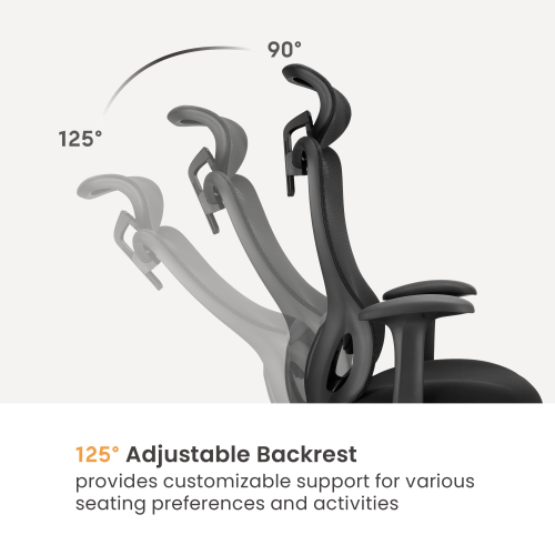 Ergonomic Office Chair with Adjustable Headrest/Lumbar Support CH10-7  from china(chinese)