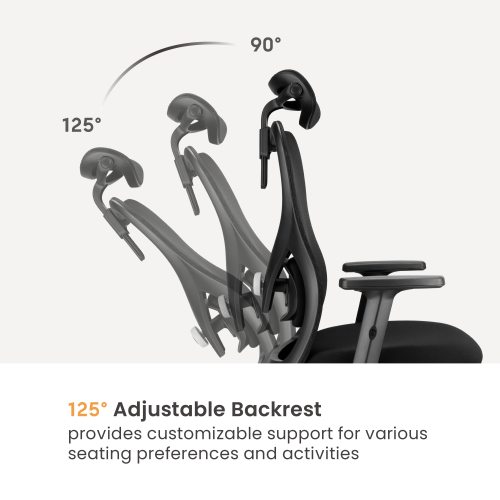 Ergonomic Office Chair with Adjustable Headrest/Lumbar Support CH10-8  from china(chinese)