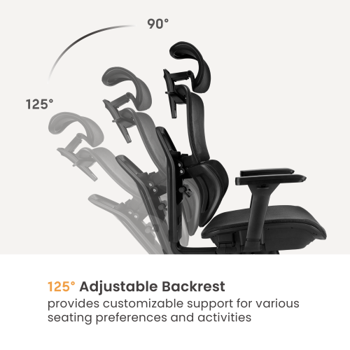 Ergonomic Office Chair with Adjustable Headrest/Backrest & 3D Armrests CH10-17  from china(chinese)