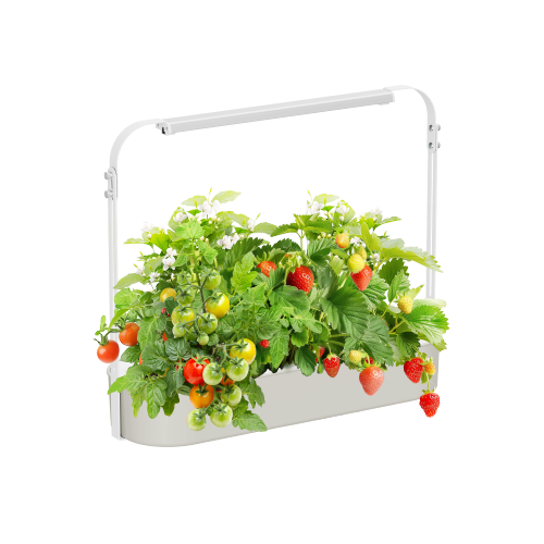Indoor & Outdoor Tabletop Gardening System HGS03-1CB Gardening Without Limits from china(chinese)