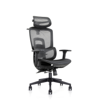 Ergonomic Office Chair with Adjustable Headrest/Backrest/Seat Depth & 3D Armrests