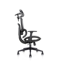 Ergonomic Office Chair with Adjustable Headrest/Backrest/Seat Depth & 3D Armrests