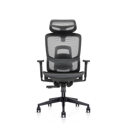 Ergonomic Office Chair with Adjustable Headrest/Backrest/Seat Depth & 3D Armrests CH10-16  from china(chinese)