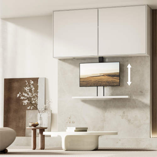 Pop-Up & Drop-Down Motorized TV Lift LP67-22M 1 Lift with 2 Ways of Installation from china(chinese)