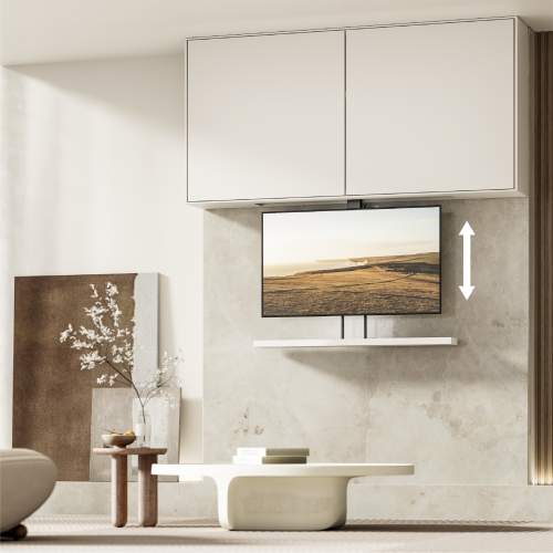 Pop-Up & Drop-Down Motorized TV Lift LP67-44M 1 Lift with 2 Ways of Installation from china(chinese)