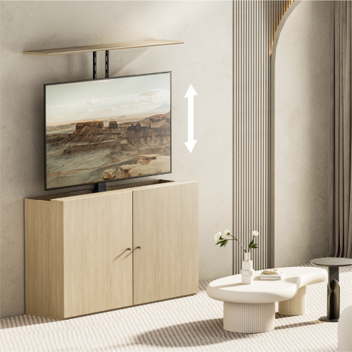 Pop-Up & Drop-Down Motorized TV Lift LP67-44M 1 Lift with 2 Ways of Installation from china(chinese)