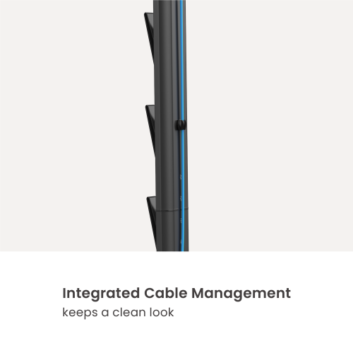 Floor Stand for Dyson Vacuums HAB-13-01 Compatible with Dyson V6, V7, V8, V10, V10 Slim, V11, V12, V12 Slim, V15, V15S, G5 and Gen5. from china(chinese)