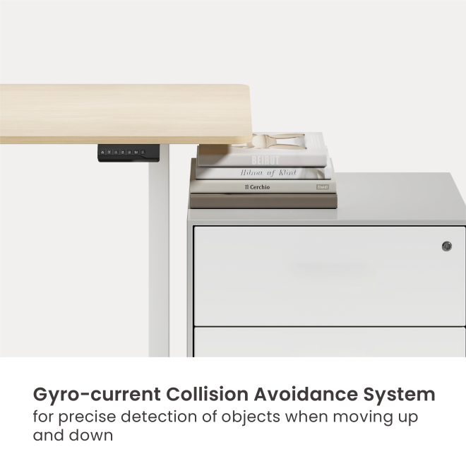 Cost-Effective Dual-Motor Sit-Stand Desk (Three-Stage Leg) M14-23R Smart Ergonomics, Smarter Value. from china(chinese)