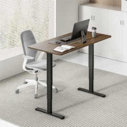 Cost-Effective Dual-Motor Sit-Stand Desk (Three-Stage Leg)