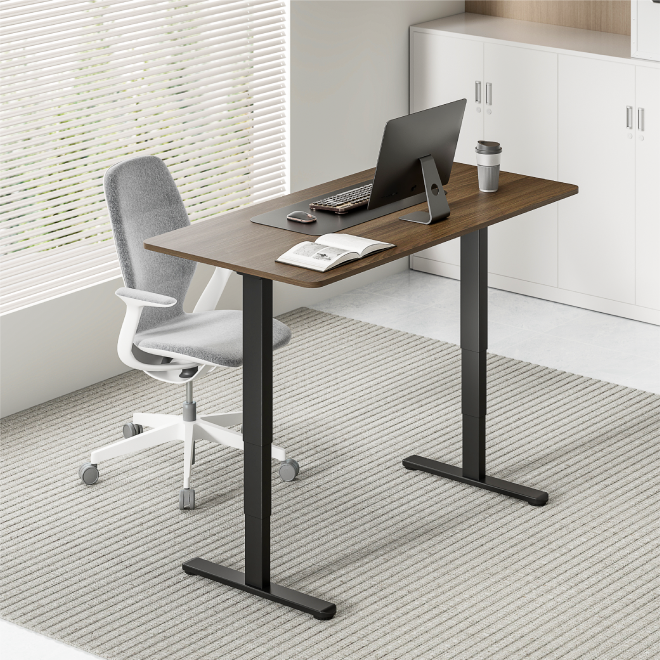 Cost-Effective Dual-Motor Sit-Stand Desk (Three-Stage Leg) M14-23R Smart Ergonomics, Smarter Value. from china(chinese)