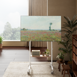 Nature-Inspired TV Carts with Wood Shelf