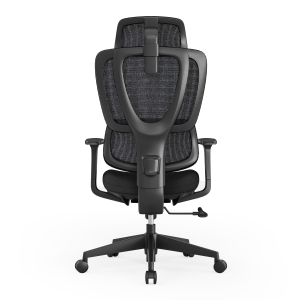 Fully-Adjustable Ergonomic Office Chair