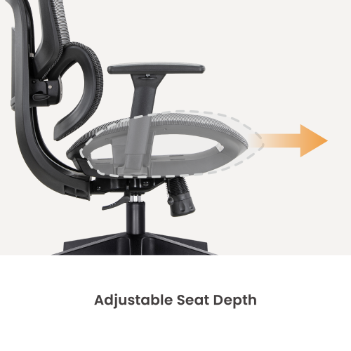 Ergonomic Office Chair with Adjustable Headrest/Backrest/Seat Depth & 3D Armrests CH10-16  from china(chinese)